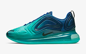 image of nike aqua shoe